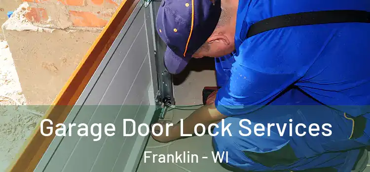  Garage Door Lock Services Franklin - WI