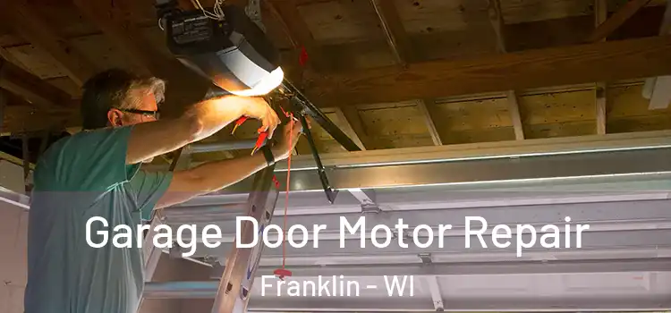  Garage Door Motor Repair Franklin - WI