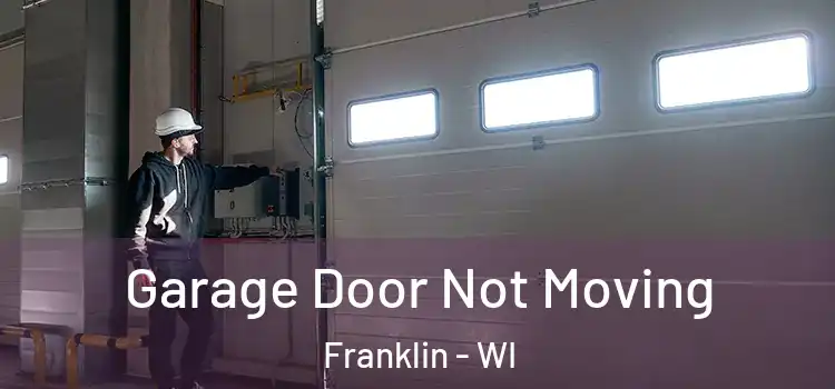  Garage Door Not Moving Franklin - WI