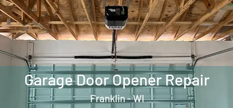  Garage Door Opener Repair Franklin - WI