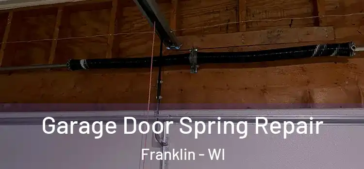  Garage Door Spring Repair Franklin - WI