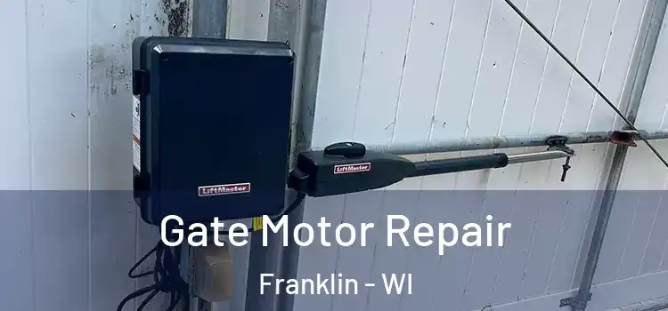 Gate Motor Repair Franklin - WI