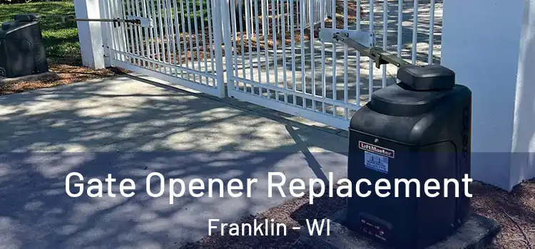  Gate Opener Replacement Franklin - WI