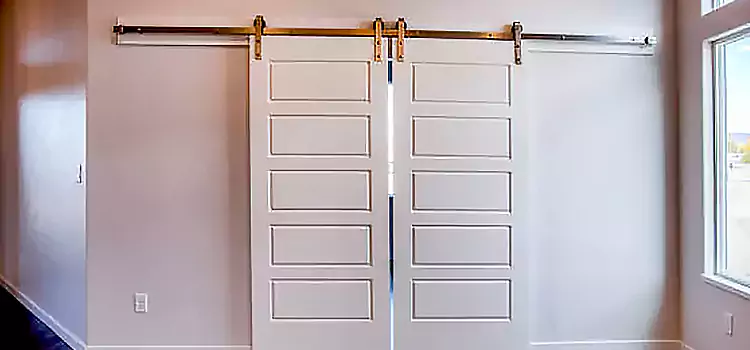 Glass Barn Door with Installation Hardware Kit Franklin