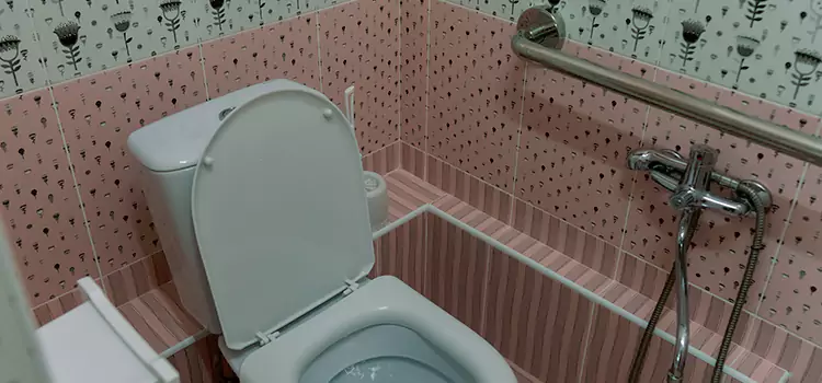 Meeting Diverse Needs With Accessible Restroom Solutions in Franklin, WI
