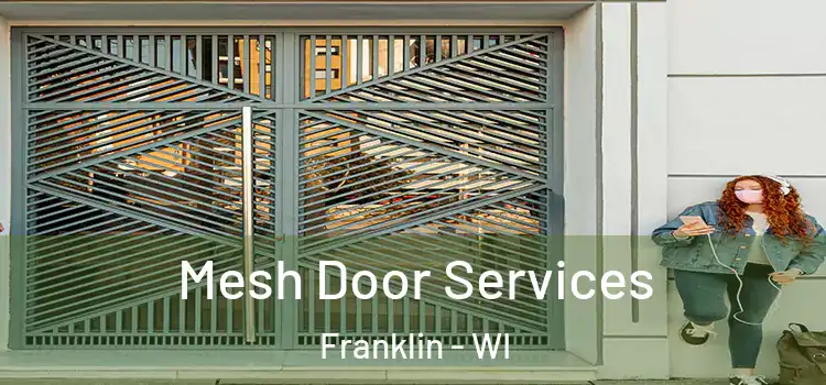  Mesh Door Services Franklin - WI