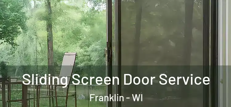 Sliding Screen Door Service Franklin - WI